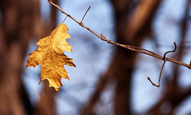 Eindrücke des Herbstes